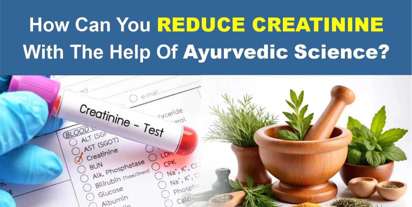 How Can You Reduce Creatinine With The Help Of Ayurvedic Science?